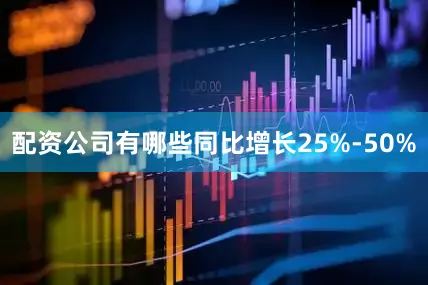 配资公司有哪些同比增长25%-50%