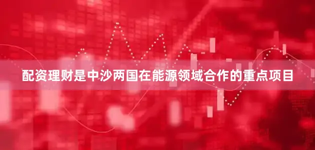 配资理财是中沙两国在能源领域合作的重点项目