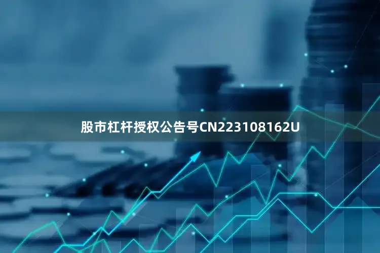 股市杠杆授权公告号CN223108162U